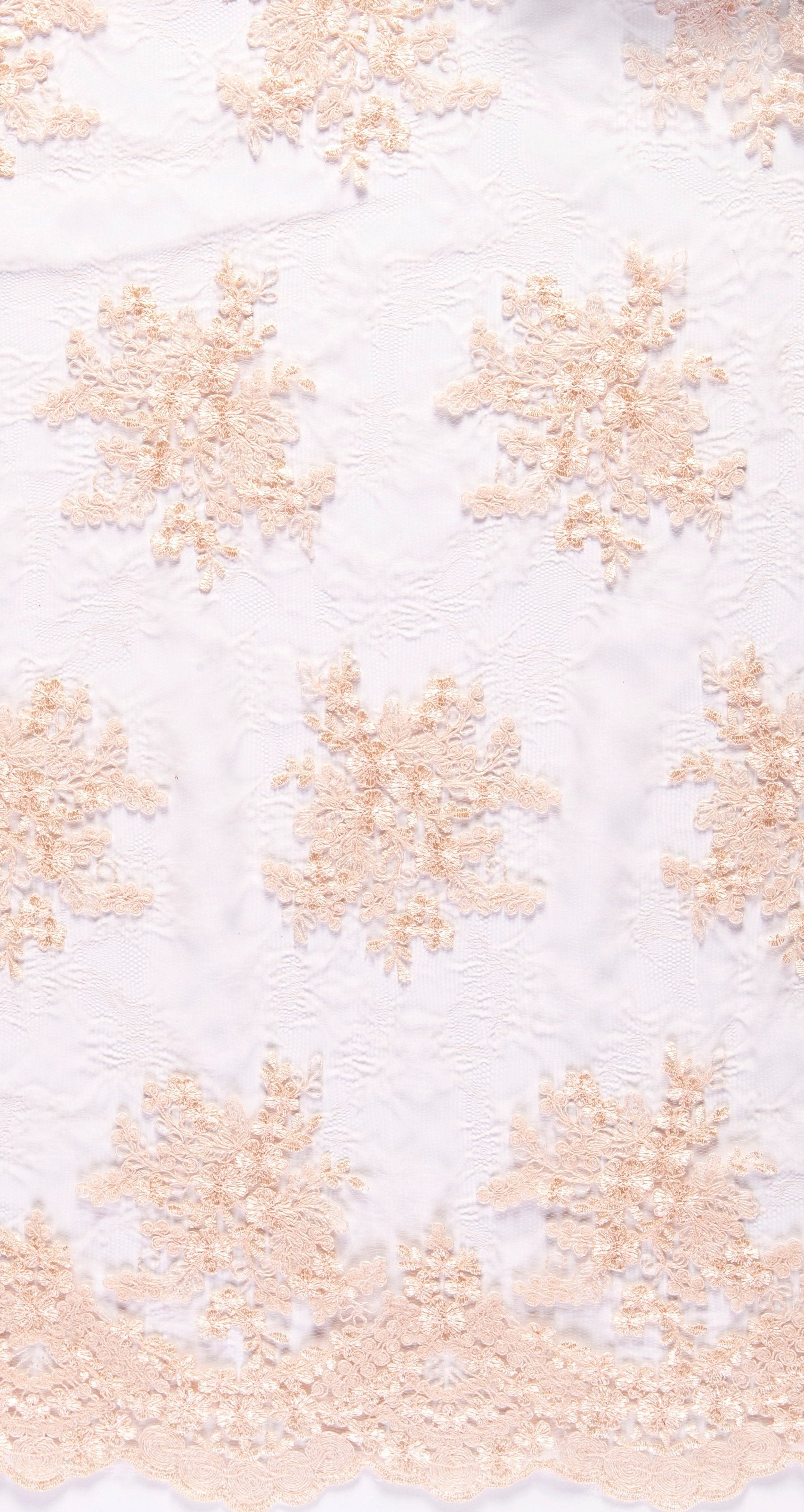 Cream Scalloped Edged Stringed Floral Embroidered Lace Fabric | Burç Fabric
